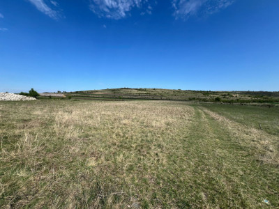 Teren extravilan de vanzare, 16810 mp, zona Valea Chintaului