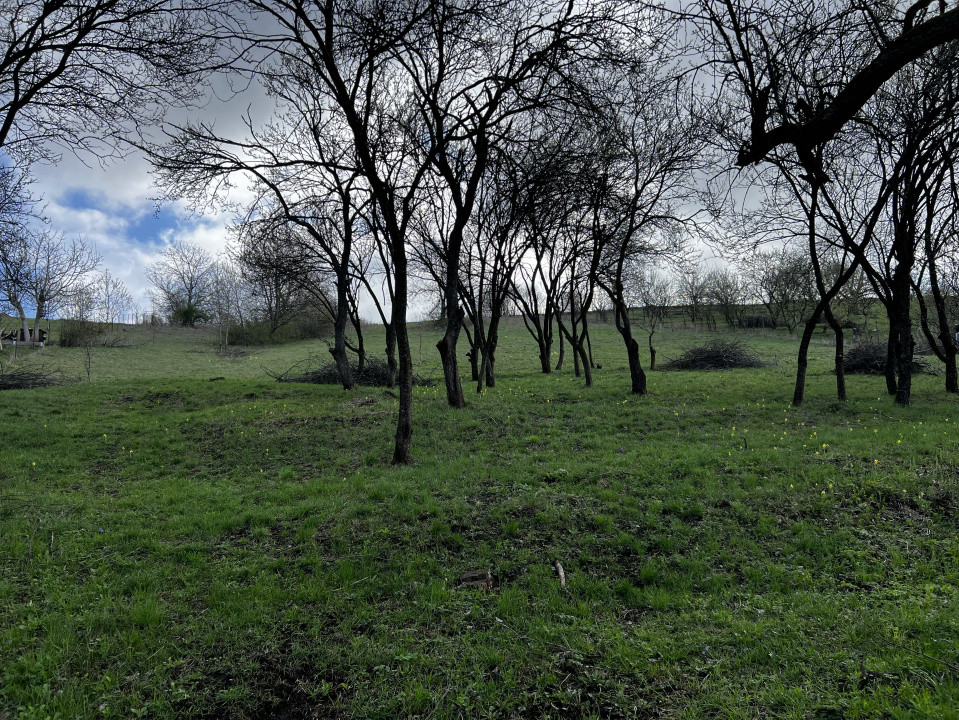 Teren intravilan, 1400 mp, Popesti Deal