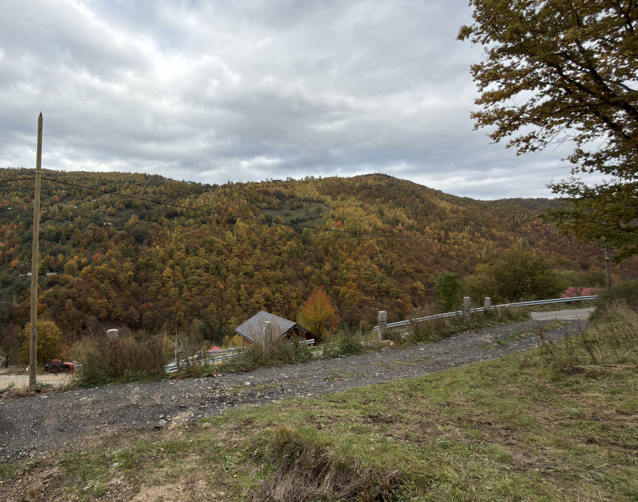 Teren intravilan de vanzare, 17200mp, Valea Ierii