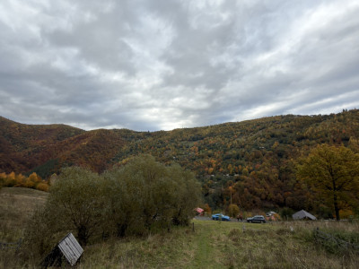 Teren intravilan de vanzare, 17200mp, Valea Ierii
