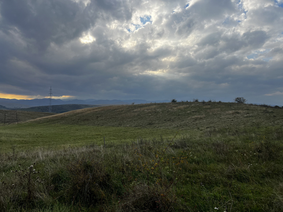 Teren extravilan, 5000 mp, Ciurila