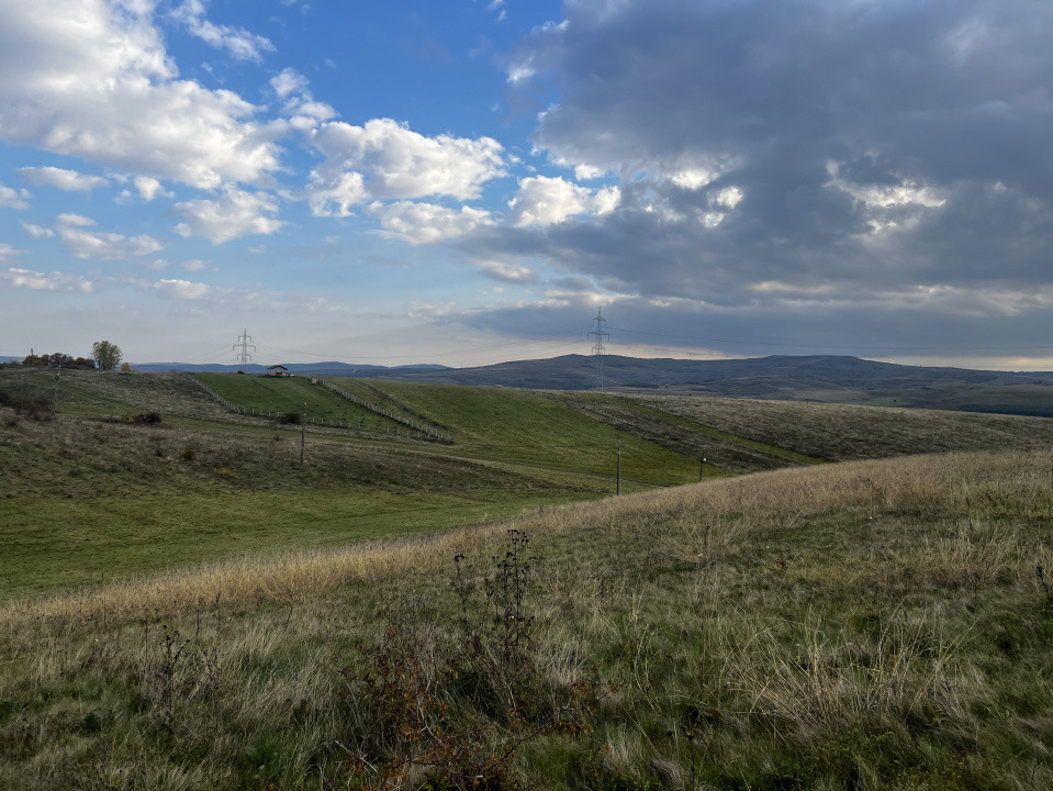 Teren extravilan, 5000 mp, Ciurila