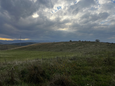 Teren extravilan, 5000 mp, Ciurila