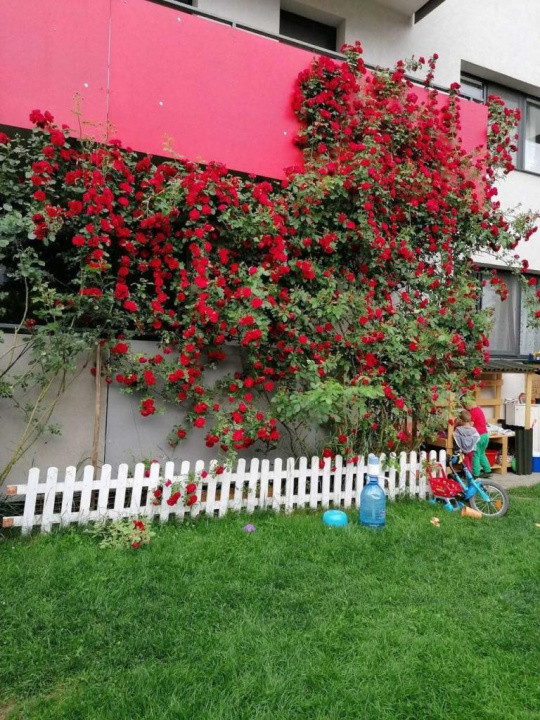 Apartament de 3 camere, 67 mp, 77mp gradina, zona Tineretului