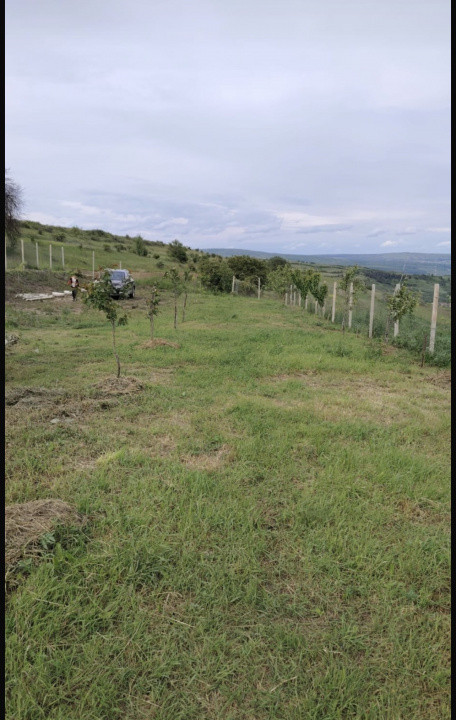 Teren intravilan, 1000 mp, Suceagu