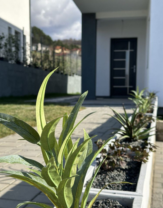 Casa 4 Camere, 120mp, Zona VIVO