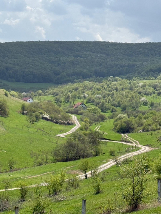 Teren intravilan, 724mp, zona Valea Sanislau