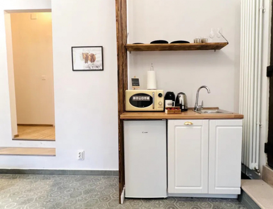 Garsoniera cocheta, pet-friendly in centru