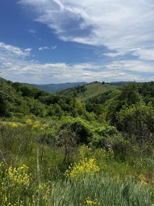 Teren intravilan, 1700 mp, Dangau