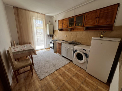Apartament de o camera, PET-FRIENDLY, 32 mp, zona Porii