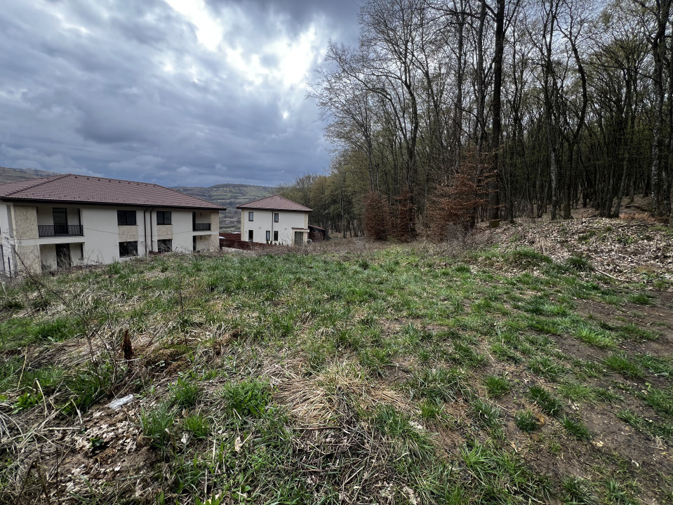 Teren Intravilan, 500mp, zona ANL