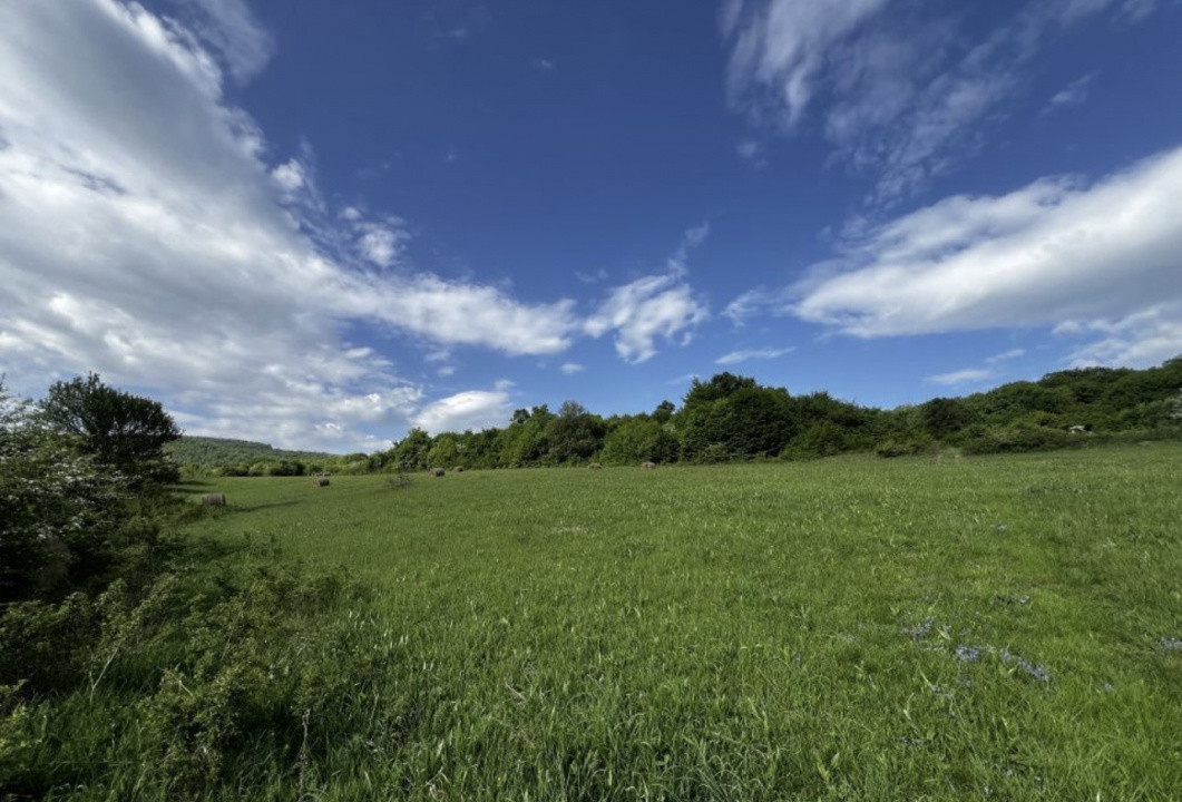 Teren intravilan, 4300 mp, zona Valea Garbaului