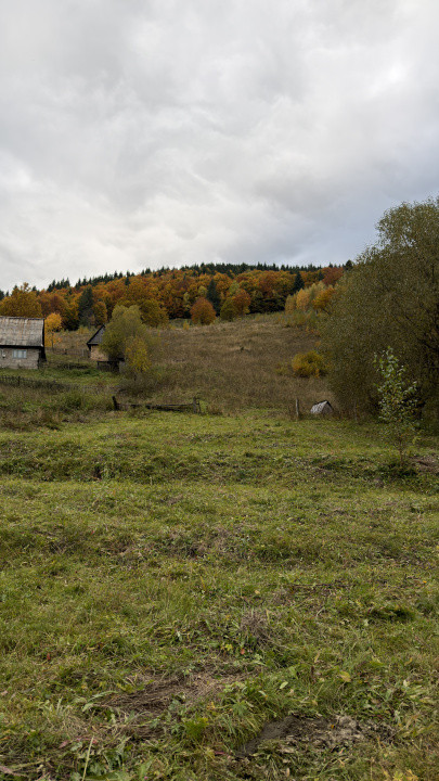 Teren de Vanzare, 22300mp, Valea Ierii