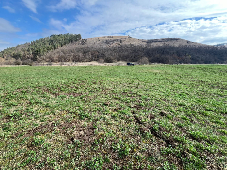 Teren intravilan, 900 mp, Luna de Sus