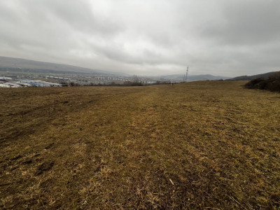 Teren extravilan, 5600 mp, zona Terra